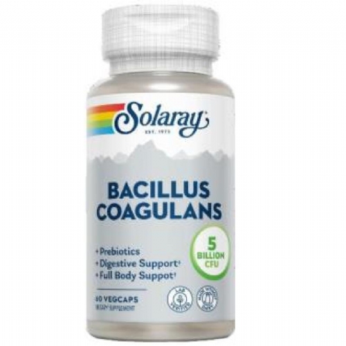 Solaray bacillus coagulans 60 vegcaps
