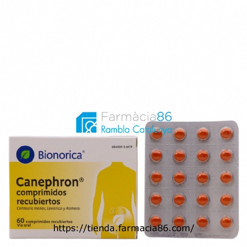 CANEPHRON COMPRIMIDOS RECUBIERTOS , 60 comprimidos