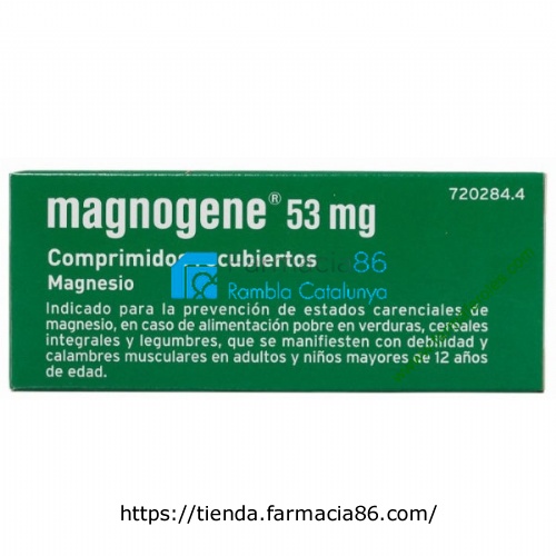 MAGNOGENE 53 mg COMPRIMIDOS RECUBIERTOS, 45 comprimidos