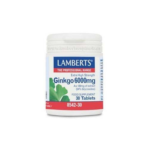 Lamberts ginkgo 6000mg 30 tab