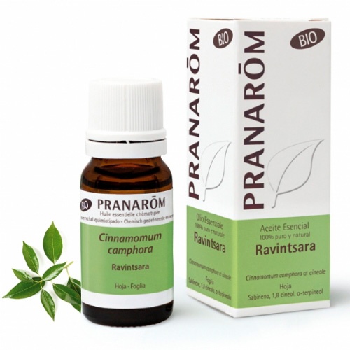 Pranarom ravintsara bio 10ml
