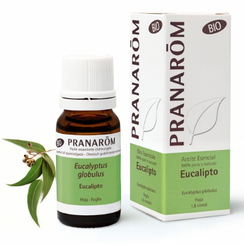 Pranarom ae eucaliptus glob 10ml