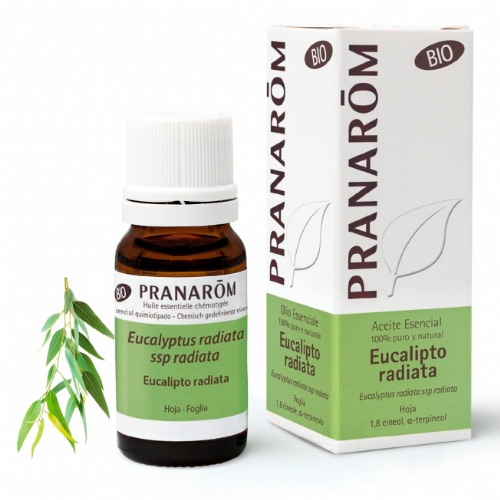 Pranarom eucalipto radiata bio 10ml