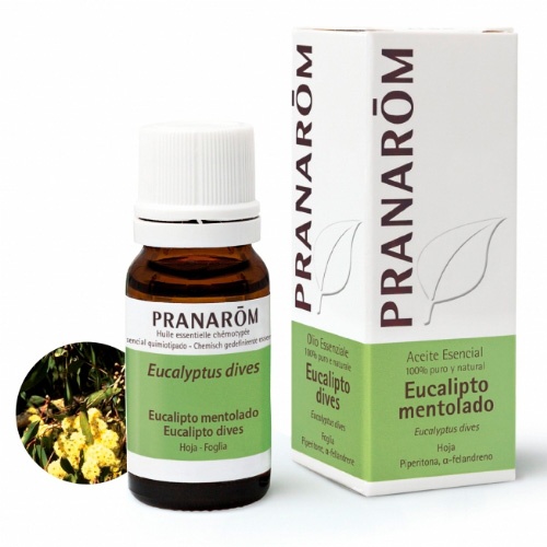 Pranarom aceite esencial eucalipto mentolado 10