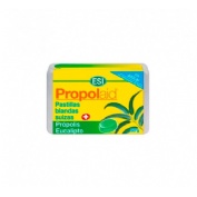 Propolaid pastilla blanda (eucaliptus 50 g)