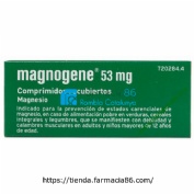 MAGNOGENE 53 mg COMPRIMIDOS RECUBIERTOS, 45 comprimidos